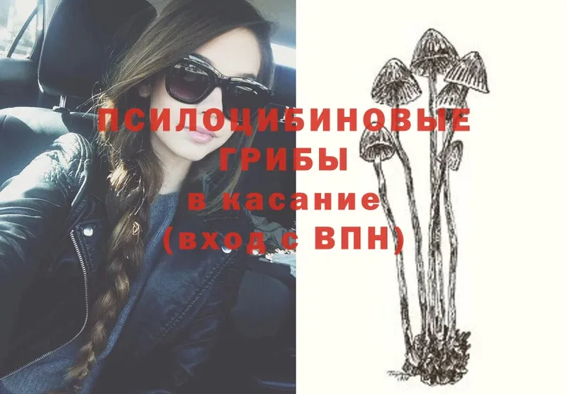 как найти закладки  Сатка  Псилоцибиновые грибы Psilocybe 